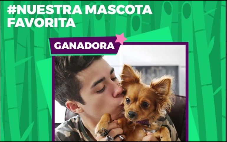 Durante la celebración reconocieron a influencers, grupos y youtubers del momento. TWITTER/@Revista_TU