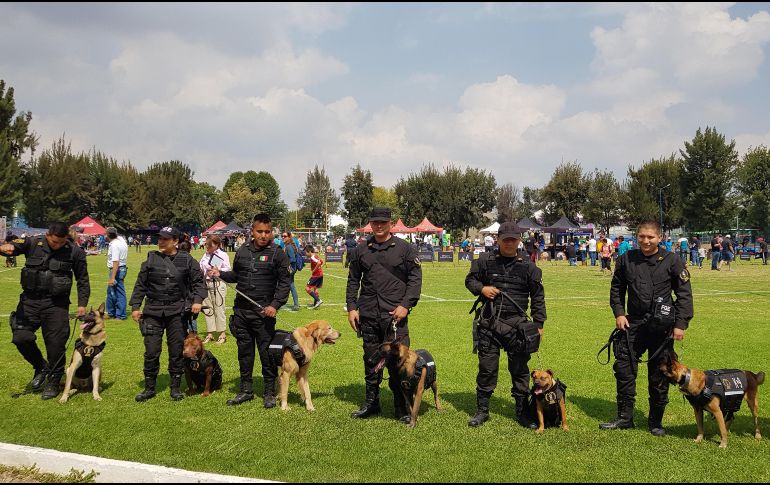 Los elementos caninos estaban asignados a trabajos de detección de drogas y explosivos. EL INFORMADOR/R. Rivas