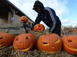 Las celebraciones de Halloween, con la elaboración de figuras con calabazas, los disfraces y las fiestas, son cada vez más populares en Polonia pese a la oposición de la Iglesia. AP / C. Sokolowski