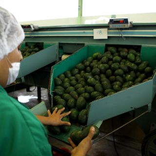 México busca ampliar oferta de vegetales en Estados Unidos