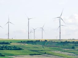 La comunidad de Unitec destaca por la creación de proyectos económicamente viables, que brindan soluciones prácticas a problemas reales. ESPECIAL