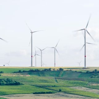 Estudiantes y emprendedores: conoce tres ideas que mejoran el mundo