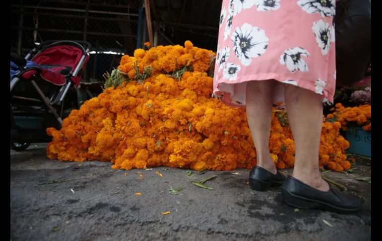 Flores para llevar. EL INFORMADOR/F. Atilano