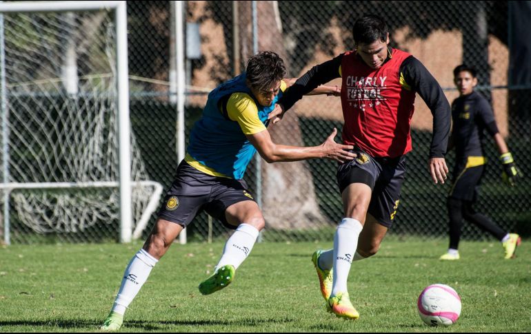 Leones Negros aspira a un milagro para poder clasificar a la Liguilla en el Ascenso MX. FACEBOOK/leonesnegrosudegoficial.