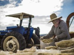 El indicador coincidente refleja el estado general de la economía, mientras que el adelantado busca señalar anticipadamente los puntos de giro del indicador coincidente. EL INFORMADOR / ARCHIVO