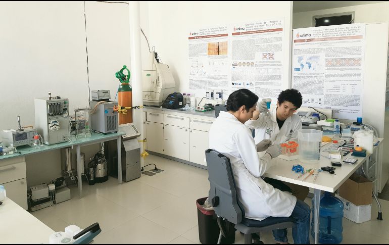 Se espera que la tecnología esté listo para el público dentro de seis meses. ESPECIAL