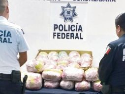 El hallazgo fue una labor conjunta de la PF y la División de Seguridad Regional. ESPECIAL