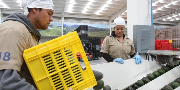 Impulsa Seder valor agregado en una centena de agroproductos de Jalisco