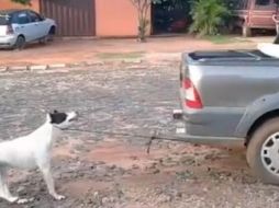Las dos imputadas son la madre y la abuela de una menor que supuestamente fue mordida por el perro. Facebook/Paraguaype