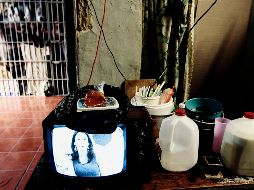 La revisión se realizó a mil 193 internos del penal. EL INFORMADOR/ ARCHIVO