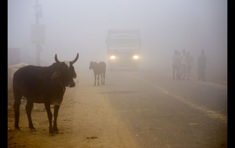 Con unos 17 millones de habitantes, Nueva Delhi es una de las ciudades más pobladas del mundo y una de las capitales de país más contaminadas del planeta.
