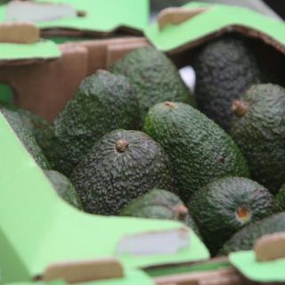 Exportaciones agroalimentarias superarán los seis mil MDD en 2017: Seder