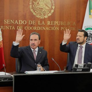 Senado no aprueba convocatoria para elegir a titular de Fepade