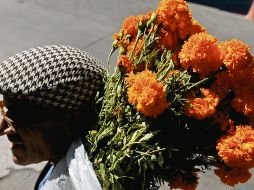 Se ha convertido en un referente que no conoce generaciones. EL INFORMADOR/ F.ATILANO