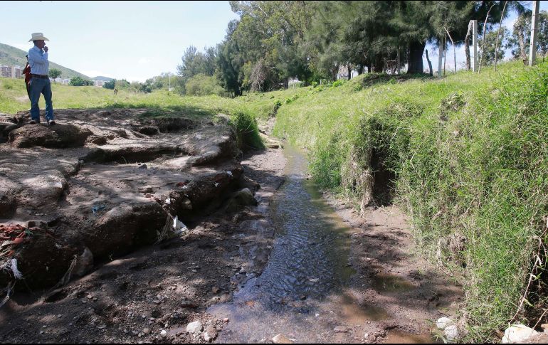 Tanto la granja como el basurero descargaban de manera inadecuada sus desechos, lo que contaminaba arroyos de agua pluvial. EL INFORMADOR/ARCHIVO