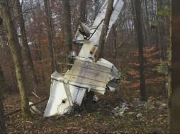 Una parte de la avioneta estaba atorada en las ramas de los árboles y los escombros quedaron esparcidos. TWITTER / @neilwymt