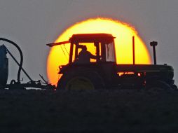Los granjeros afirman que de acabar el tratado, el comercio de frutas y vegetales sería de los más afectados. AFP/Archivo