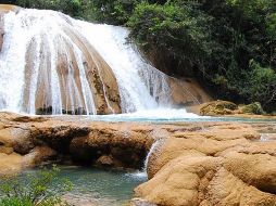 Expertos aseguran que el río sigue teniendo capacidad suficiente y no ha disminuido su afluencia. NTX/Especial