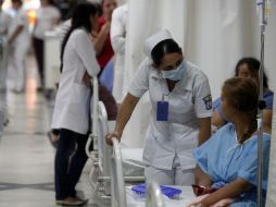 Se demuestra que la protección frente a las infecciones de ambos virus se debe a anticuerpos que se unen a una de las proteínas del virus. EL INFORMADOR / ARCHIVO