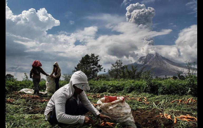 Granjeros trabajan en un campo mientras el volcán Sinabung arroja humo en Karo, Indonesia. El volcán permanece con actividad constante desde 2013. AFP/I. Damanik