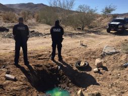 La Procuraduría General de la República invita a denunciar los delitos federales. EL INFORMADOR / ARCHIVO