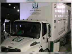 Tras una revisión exhaustiva de la plantilla de personal, se constató que los detenidos no son trabajadores del Instituto. YOUTUBE / Blog del Narco Official