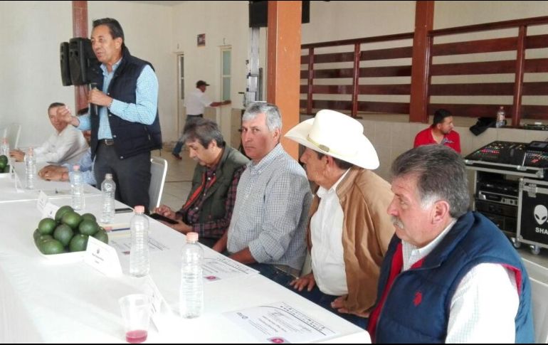 Padilla Gutiérrez señaló que en Concepción de Buenos Aires se tienen 800 hectáreas certificadas y se trabaja con los productores para que se agreguen más plantaciones. TWITTER/@SEDER