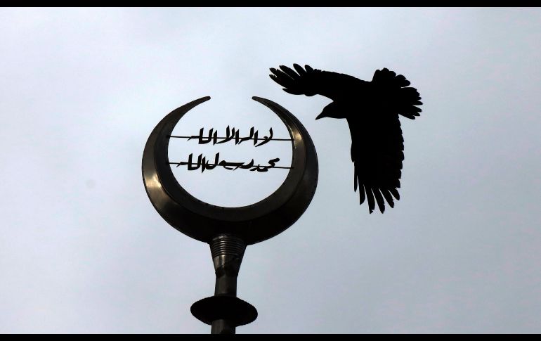 Un pájaro sobrevuela cerca del minarete de la mezquita de Tubas, durante un día lluvioso en la ciudad cisjordana de Tubas. EFE/ A. Badarneh