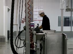La cifra representa el tercer récord de empleo más alto para cualquier mes desde 1997. EL INFORMADOR/Archivo