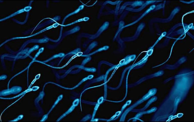 Un pequeño efecto de las partículas PM2.5 en la morfología normal del esperma puede provocar infertilidad a un importante número de parejas. ESPECIAL