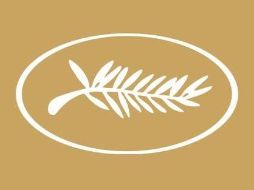 El prestigioso certamen cinematográfico celebró su pasada edición entre el 17 y el 28 de mayo. Festival de Cannes