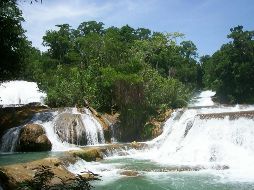 Autoridades precisan que el problema en la cascada de Agua Azul, el turismo nacional y extranjero dejó de visitar el centro turístico. NTX/ ARCHIVO