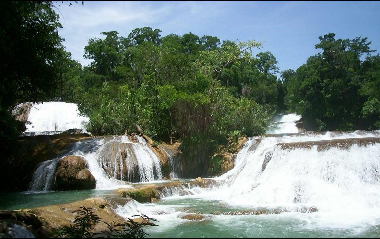 Autoridades precisan que el problema en la cascada de Agua Azul, el turismo nacional y extranjero dejó de visitar el centro turístico. NTX/ ARCHIVO