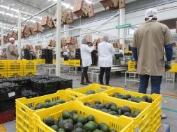 De enero a agosto del presente año, las exportaciones realizadas por todos los sectores sumaron un total de 33 mil 742 millones de dólares. EL INFORMADOR/ARCHIVO