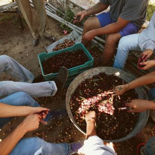 Joven preso por homicidio se convierte en caso de éxito
