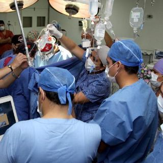 El IMSS busca nuevo modelo de trasplante de órganos