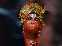 El mundo en imágenes del 26 de noviembre de 2017