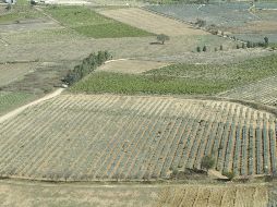 Este año se registró un superávit de cuatro mil 199 millones de dólares en el sector. EL INFORMADOR/Archivo