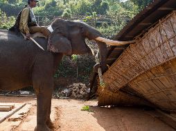 El mundo en imágenes del 27 de noviembre de 2017