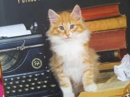 Estos animales tan apreciados por los humanos tienen su propia editorial en la FIL. EL INFORMADOR