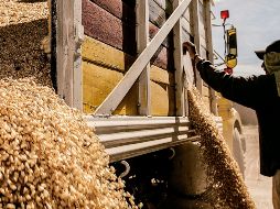 Las exportaciones que más crecieron fueron las agropecuarias (24.2%). EL INFORMADOR/Archivo
