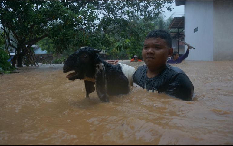 Un joven transporta una cabra a través de una calle inundada, en Java. AP/A. Salim