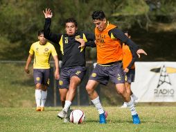 Leones negros espera mostrarse renovado durante el próximo torneo del Ascenso MX. TWITTER/@LeonesNegrosCF