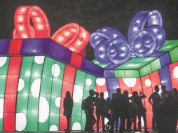 Luztopía, encanto regio