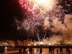 Recomiendan que en estas fiestas decembrinas se acondicione una habitación a los animalitos donde estén cómodos, con comida, agua y sus juguetes favoritos. EFE / ARCHIVO