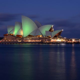 "Kwaussie" es la palabra del año en Australia