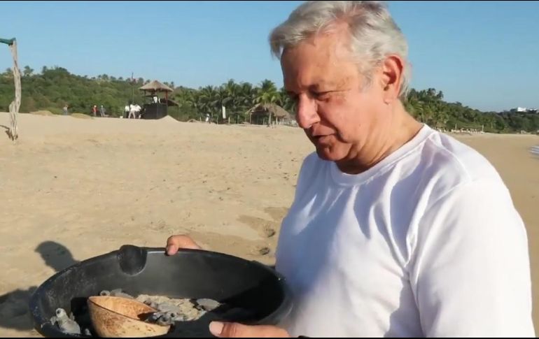 De gira por Oaxaca, López Obrador hizo una parada en Puerto Escondido donde liberó tortugas y afirmó que lo importante es 