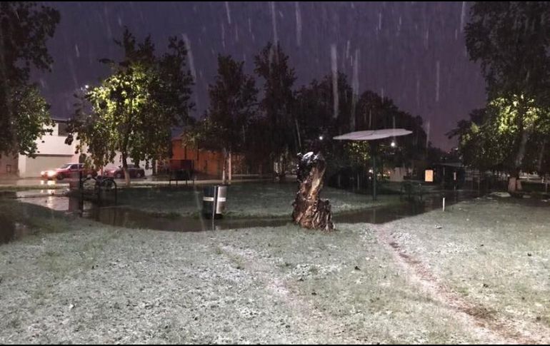 Podrían registrarse nuevas nevadas en el transcurso del día, en los estados de Nuevo León, Chihuahua, Durango, Coahuila Zacatecas y San Luis Potosí. TWITTER/ @PURONJOHNSTON