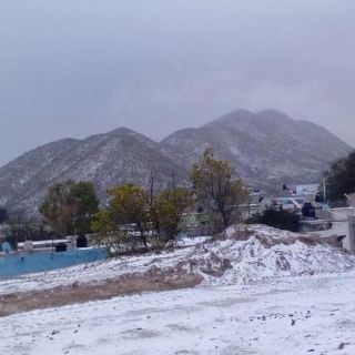 Reportan caída de nieve en municipios de Zacatecas