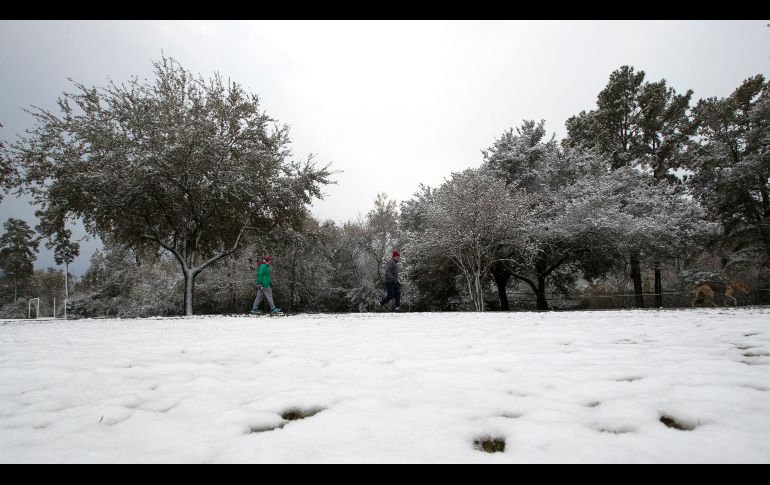 Los meteorólogos esperaban una acumulación de hasta 7.5 centímetros de nieve en Corpus Christi para este viernes.AP / D. J. Phillip